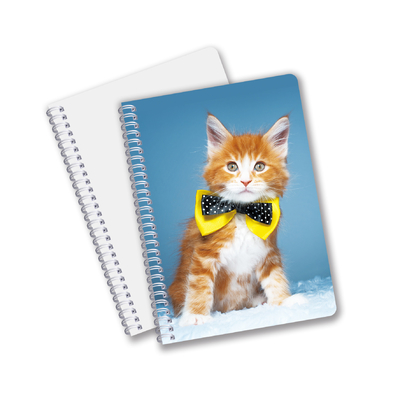 Atacado 3D Effect 3D Lenticular Printing Notebook Hardcover Spiral Bound Notebook Notebook Perforado Notebook para Crianças