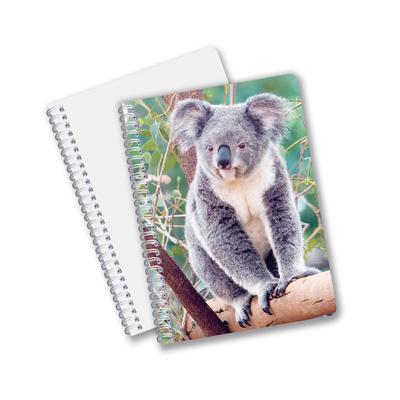 Uso Diário Boa Qualidade Feita na China Eco-Friendly PET Folhas Personalizadas Duráveis 3D Lenticular Espiral Notebook