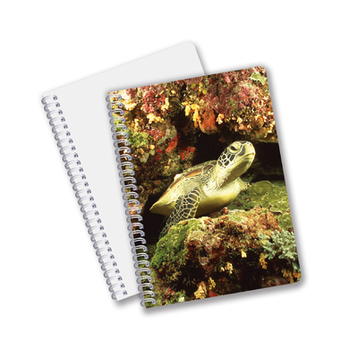 Papeleria Escolar 3D Lenticular Publicidade Personalizado Notebooks Espiral para Crianças Promoção presente