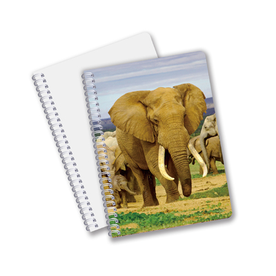 Factory Custom B5 A5 A6 Impressão 3D Lenticular Notebook Cute Espiral Notebook Estudante