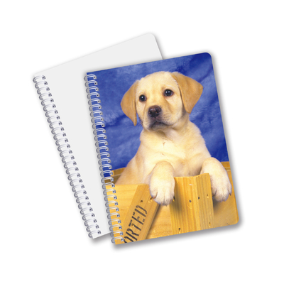 China Factory 3D Lenticular Custom offset Impresso PET A3/A4/A5/A6 Notebooks