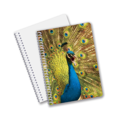 Boa Qualidade Materiais PET 3D lenticulares personalizados Promoção Presente Espiral 3D Notebook de impressão