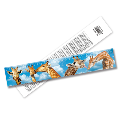 Regrador Lenticular 3D personalizado de alta definição Efeito 3D forte