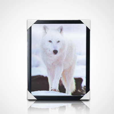 Pinturas para parede PET 40*30cm 3D 5D Animais Lenticulares World Picture With Black Frame para decoração de sala de estar