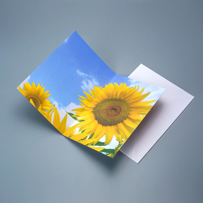 Cartão Lenticular de Impressão 3D de alta qualidade