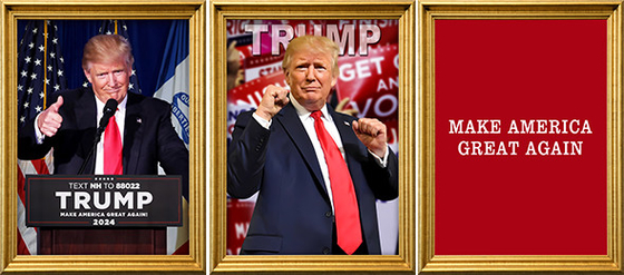 TRUMP Designs Impressão 3D personalizada PET Lenticular Poster Impressão 3D Lenticular